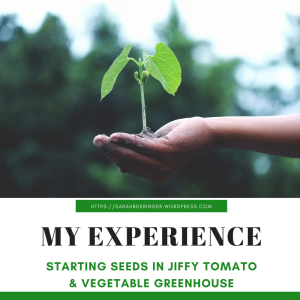 My Experience Starting Seeds With the Jiffy Tomato and Vegetable Greenhouse, Experience, Starting, Starting Seeds, Seeds, Tomato, Vegetable, Jiffy, Jiffy Tomato and Vegetable Greenhouse, greenhouse, tomato seeds, gardening, farming, Deringer Farm, Farm Life, Garden Life, Spring, gardening, farming, prepare seeds, egg cartons, water, soil, dirt,